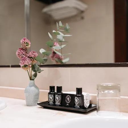 ホテル Nh コレクション パラシオ デ アヴィレス