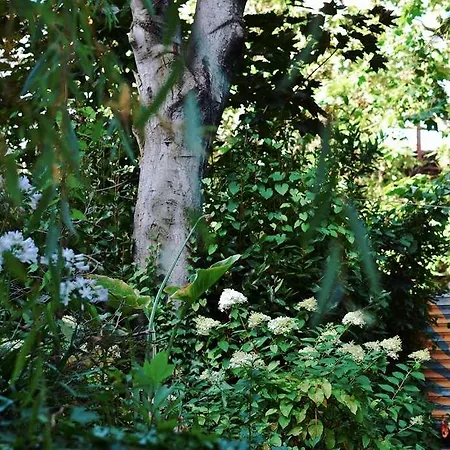 Hotel Palacio De Affiliated By Melia