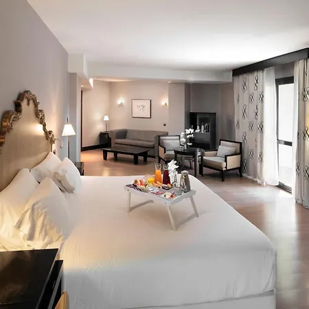 Palacio De Affiliated By Melia Avilés