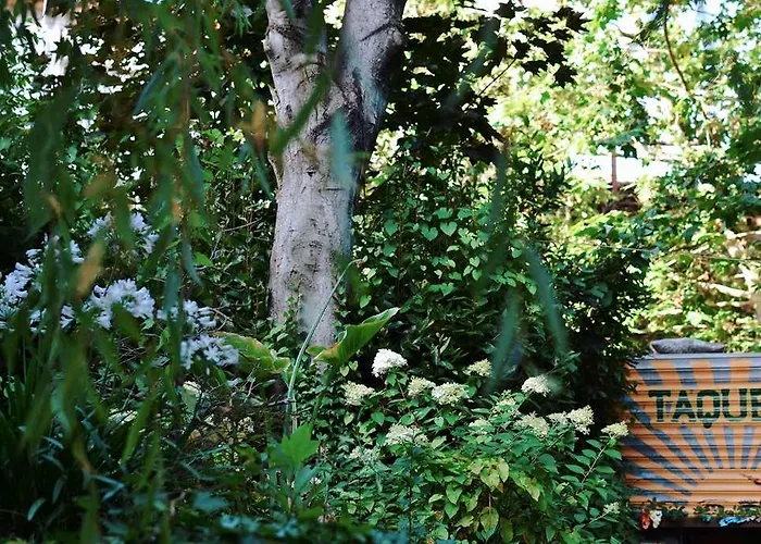 Hotel Palacio De Affiliated By Melia